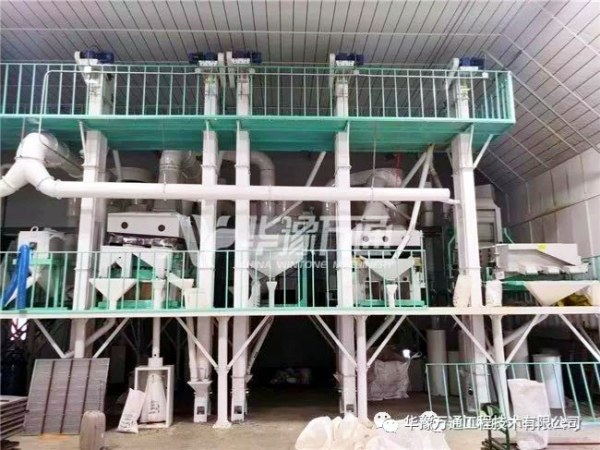 120Ton/Day Beans Cleaning and Selection Processing Plant Delivered to America
