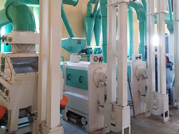 Botswana 50TPD Sorghum Peeling Line Installation