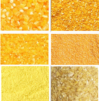 maize processing plant.jpg